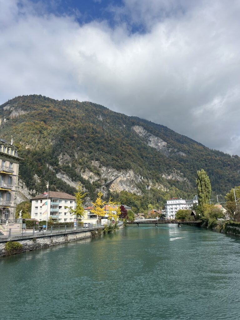 IMG_7767